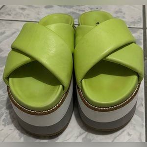 NOVUS - FATMA - GREEN